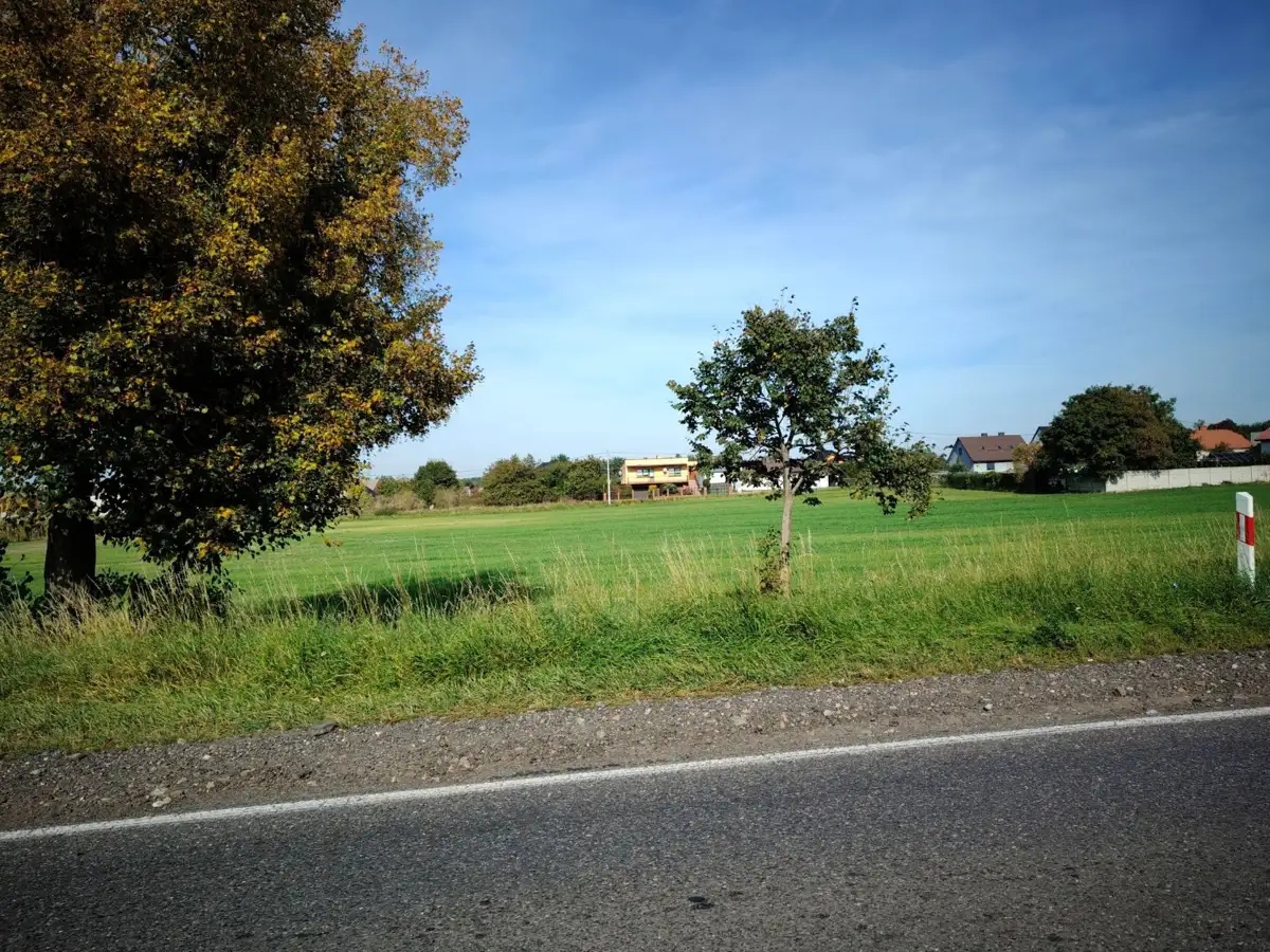 Grunty Czekanów — zdjęcie 5