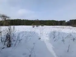 Grunty Bielsk Podlaski — zdjęcie 1