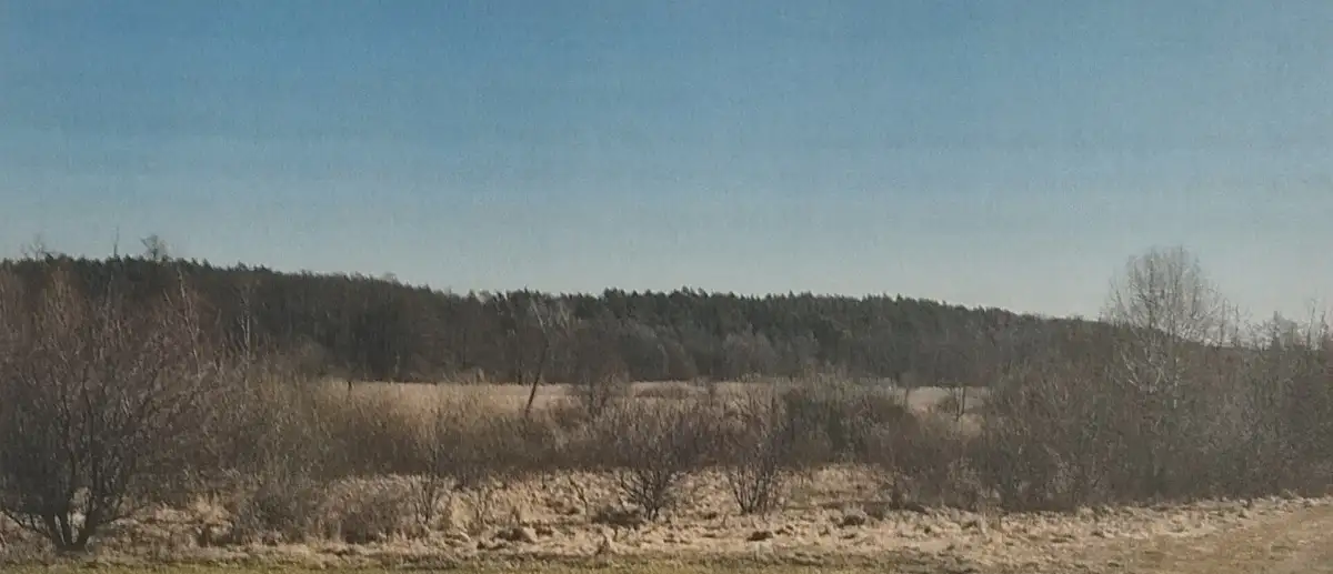 Zdjęcie 1