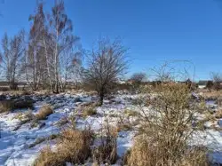 Grunty Wejherowo — zdjęcie 1