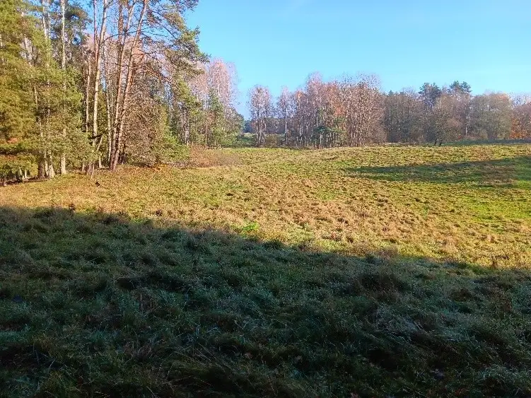 Zdjęcie 1