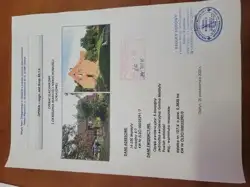 Zdjęcie 1