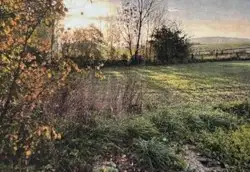 Zdjęcie 1