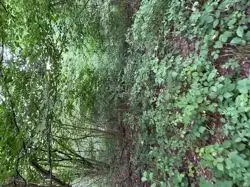 Zdjęcie 1