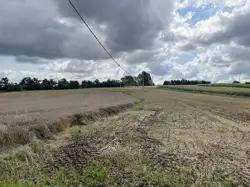 Grunty Kazimierza Wielka — zdjęcie 1