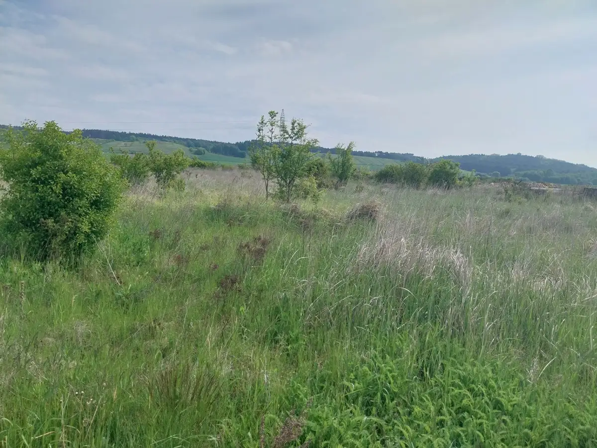 Działki Pińczów — zdjęcie 5