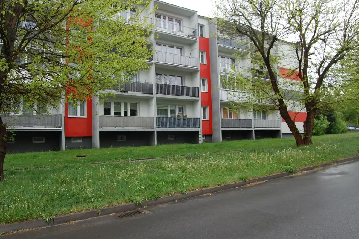 Zdjęcie 1