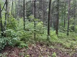 Zdjęcie 1