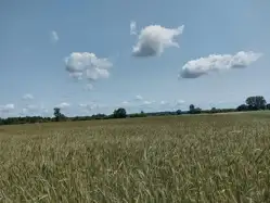 Działki Sieradz — zdjęcie 1