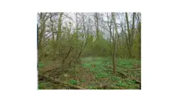 Grunty Kozienice — zdjęcie 1