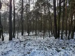 Zdjęcie 1