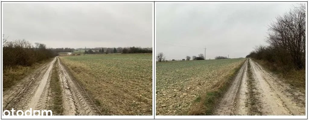Zdjęcie 1