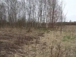Grunty Radomsko — zdjęcie 1