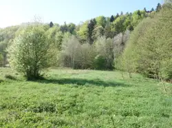 Działki Myślenice — zdjęcie 1