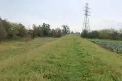 Grunty Kozienice — zdjęcie 1