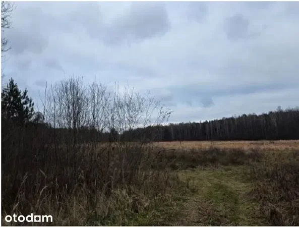 Działki Kruszyna — zdjęcie 4