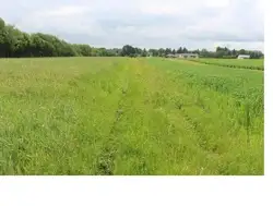 Działki Lublin — zdjęcie 1