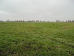 Zdjęcie 1