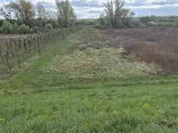 Działki Sandomierz — zdjęcie 1