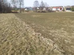 Zdjęcie 1