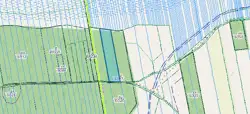Zdjęcie 1