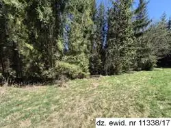 Zdjęcie 1