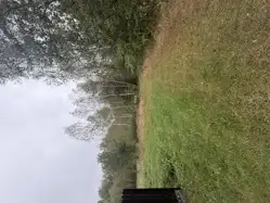 Zdjęcie 1