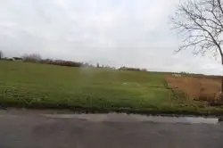 Zdjęcie 1
