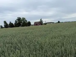 Działki Grajewo — zdjęcie 1
