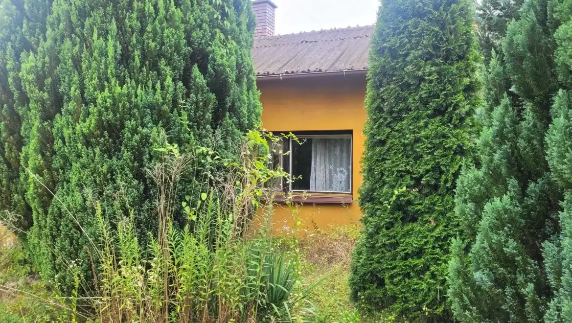 Działki Skierniewice — zdjęcie 1