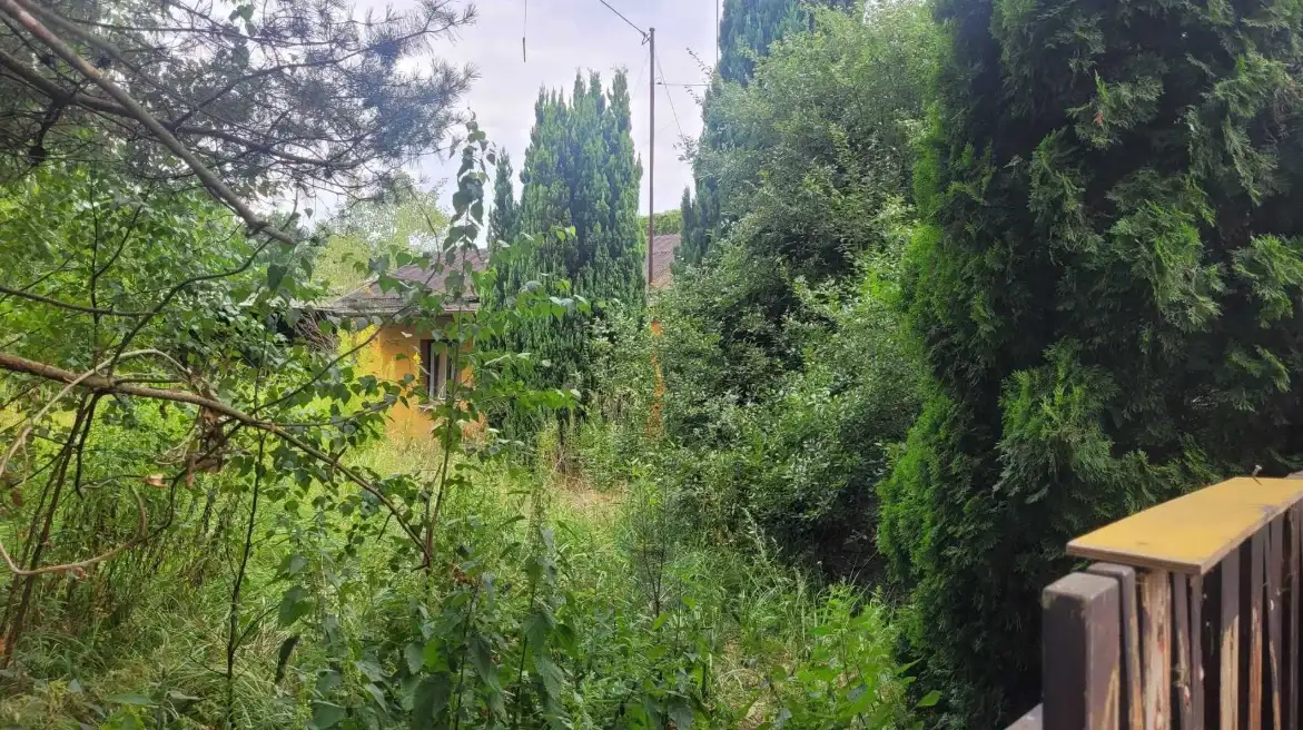 Działki Skierniewice — zdjęcie 2
