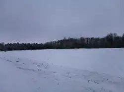 Działki Augustów — zdjęcie 1