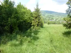 Zdjęcie 1