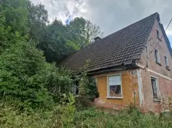 Zdjęcie 1