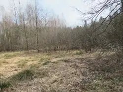 Zdjęcie 1