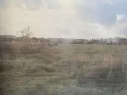Zdjęcie 1