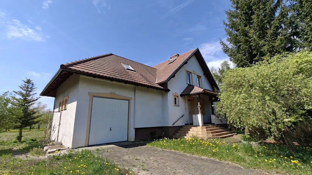 Zdjęcie 1
