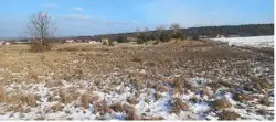 Zdjęcie 1