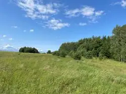 Zdjęcie 1