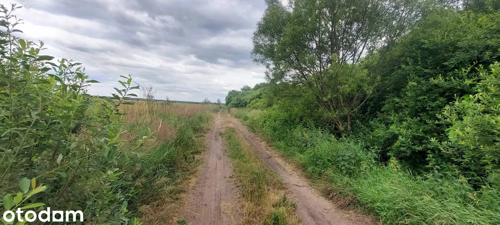 Grunty Ładzice — zdjęcie 3