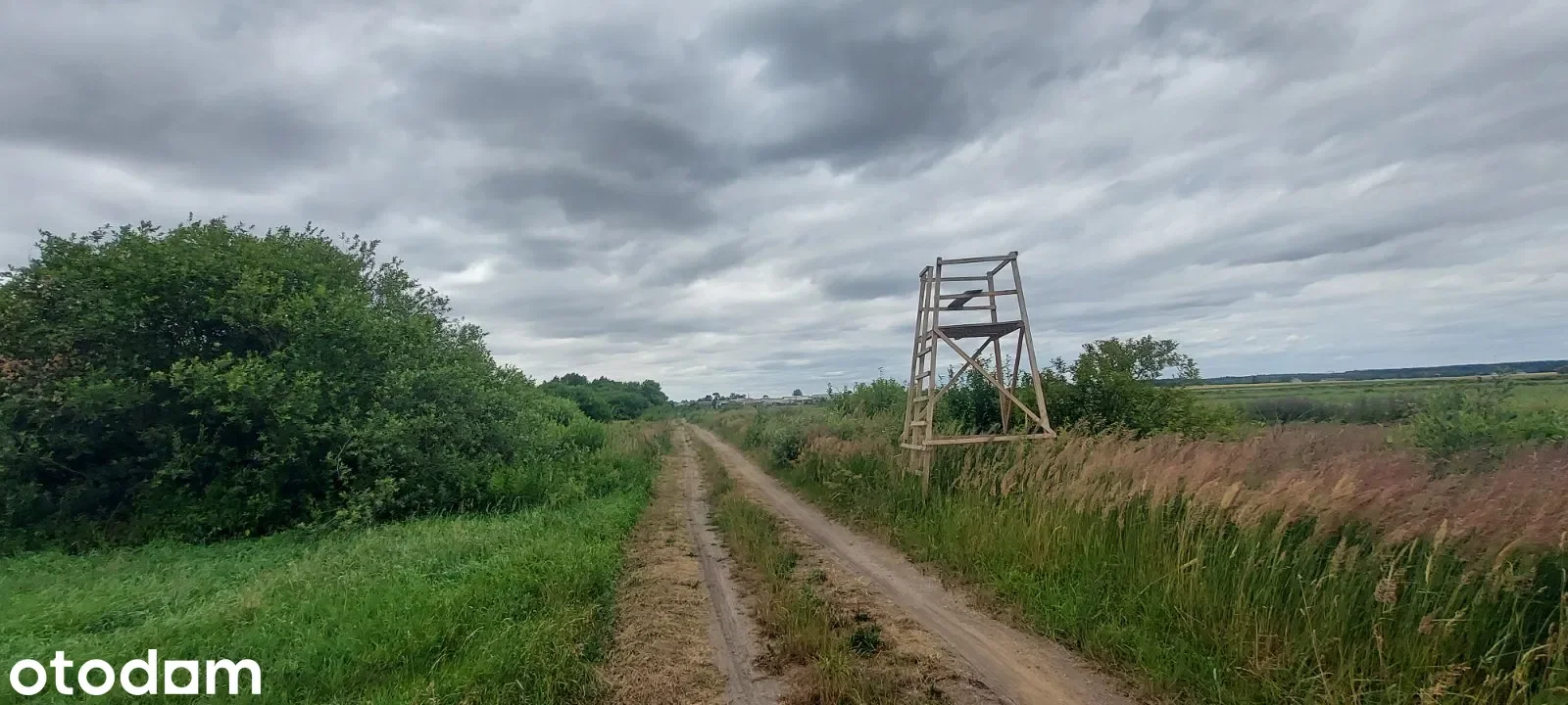 Grunty Ładzice — zdjęcie 7