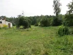 Zdjęcie 1