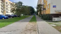 Zdjęcie 1