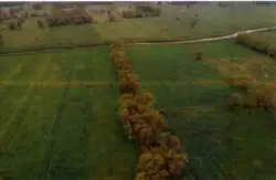 Zdjęcie 1