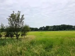 Zdjęcie 1