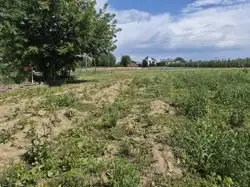 Działki Sandomierz — zdjęcie 1