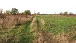 Zdjęcie 1