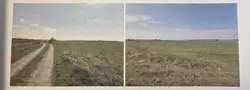 Grunty Busko-Zdrój — zdjęcie 1