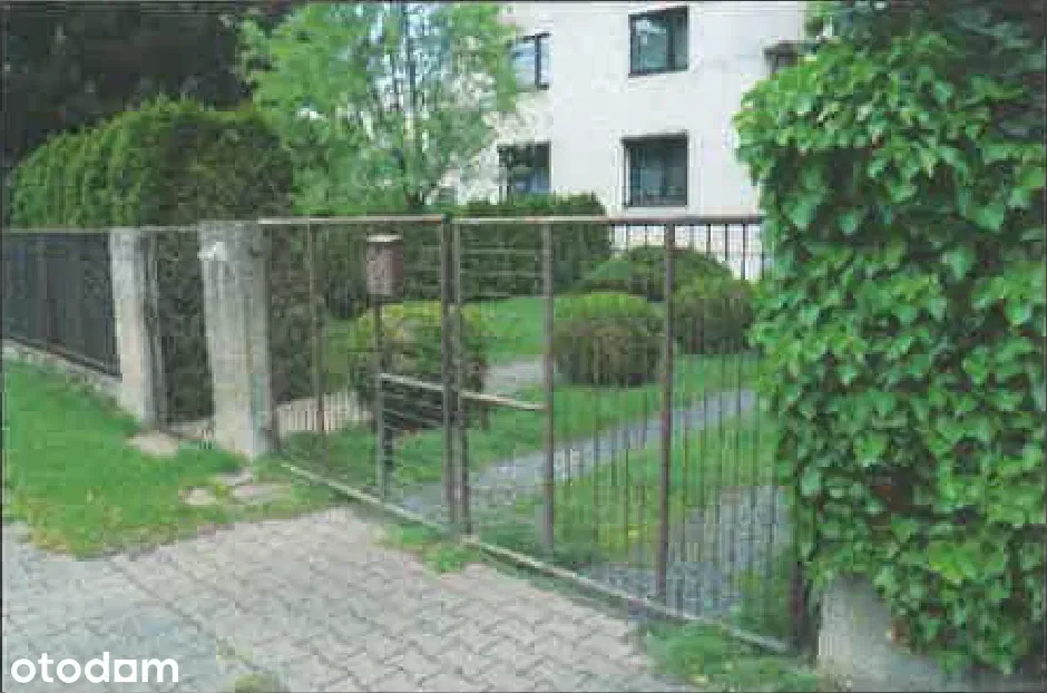 Grunty Poznań — zdjęcie 2