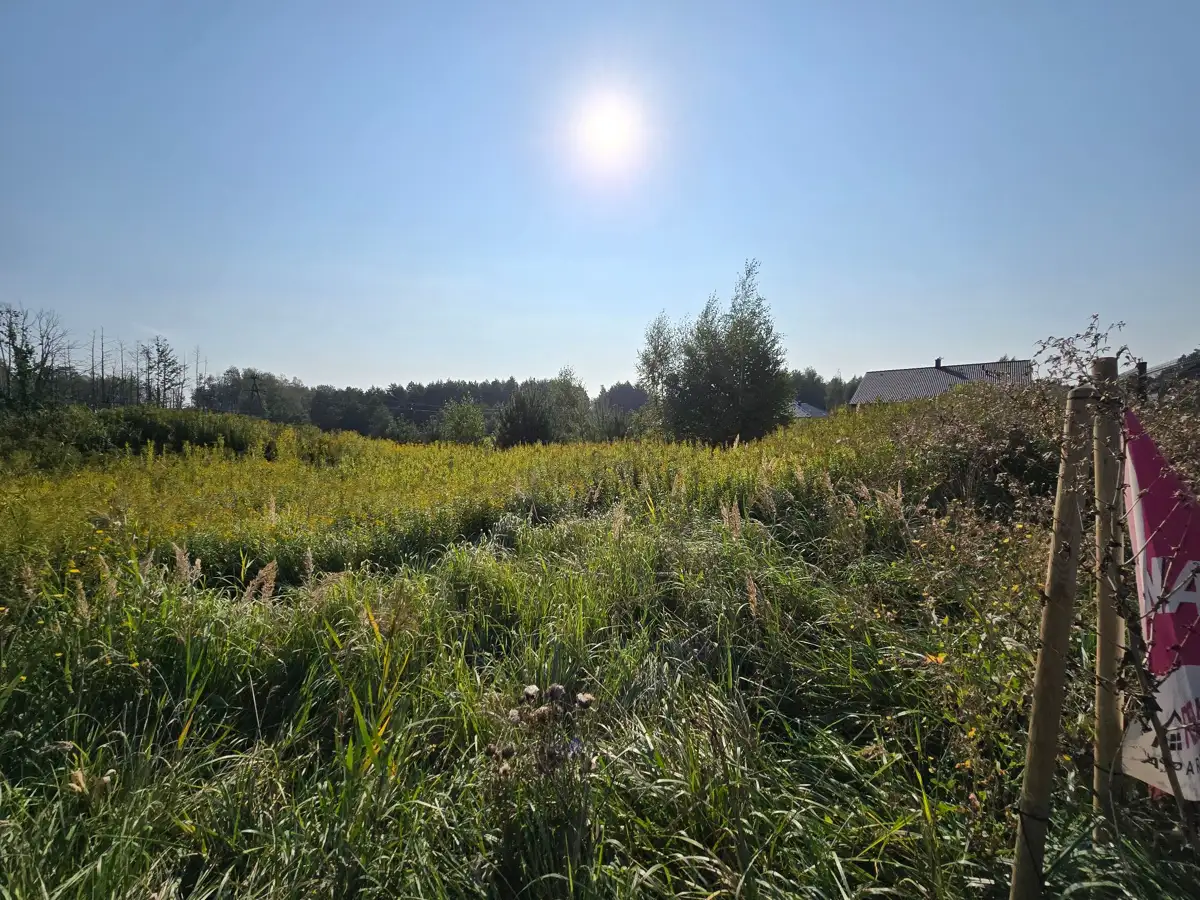 Działki Dąbrowa Chełmińska — zdjęcie 1